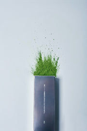 001 ― YABUKITA Single Cultivar 30g