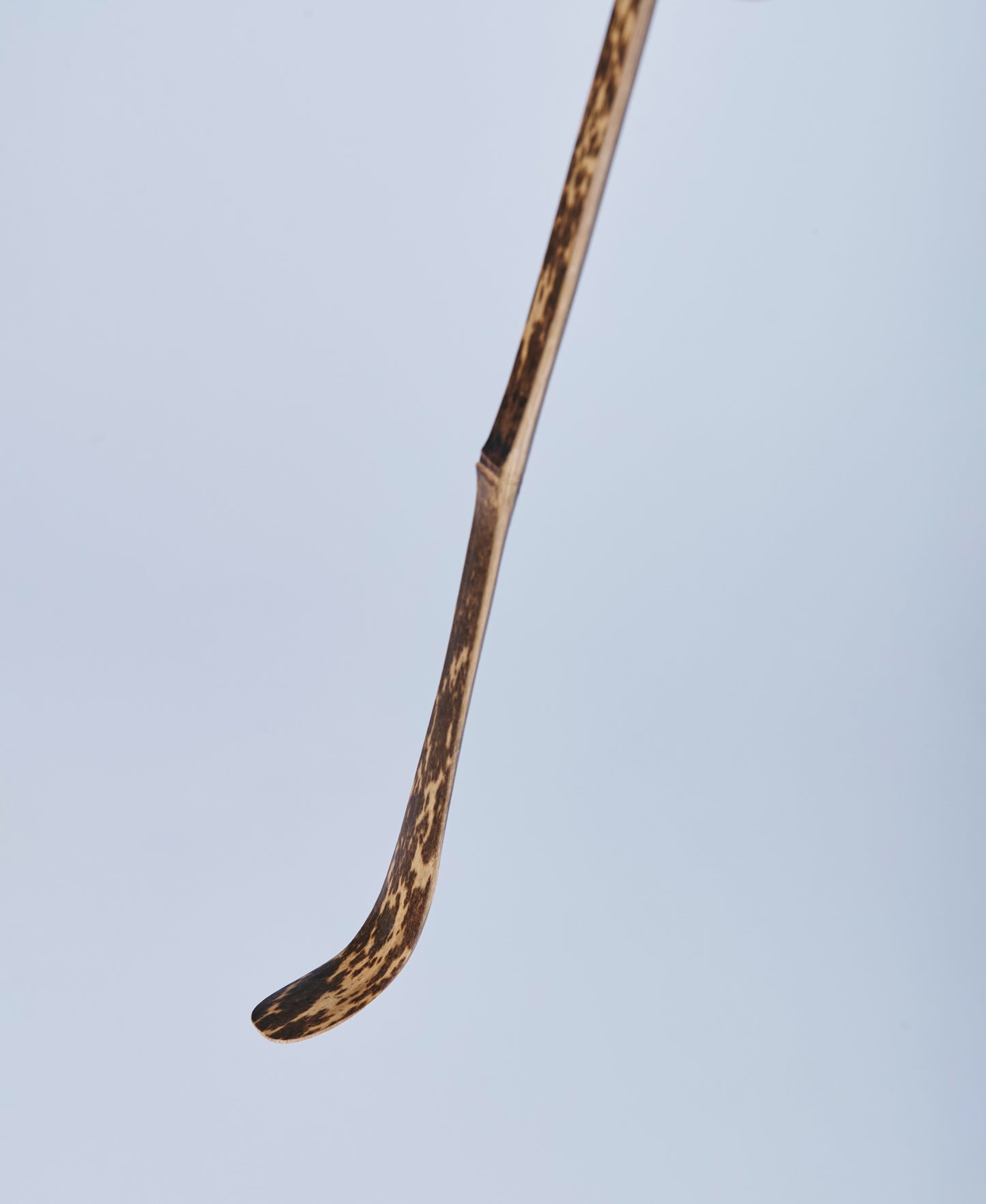 CHASHAKU - Bamboo Spoon